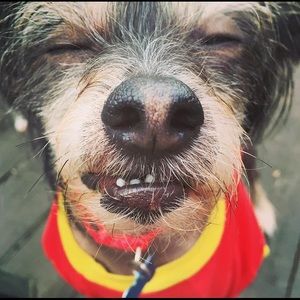 Meet your Posher, Brianna